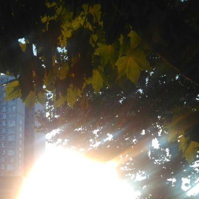 我发现了个博客:晨秋凉雨
